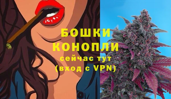 прущие крисы Богданович