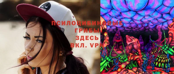 прущие крисы Богданович
