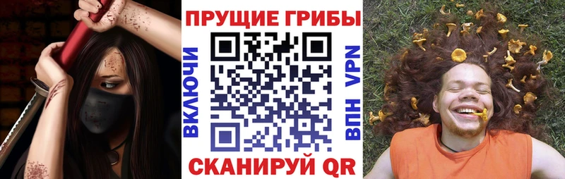 продажа наркотиков  Павловск  Галлюциногенные грибы Cubensis 